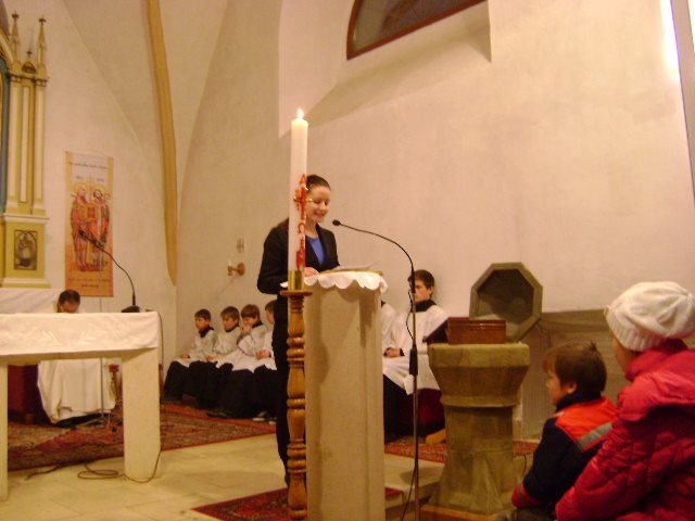 V službe žalmistu